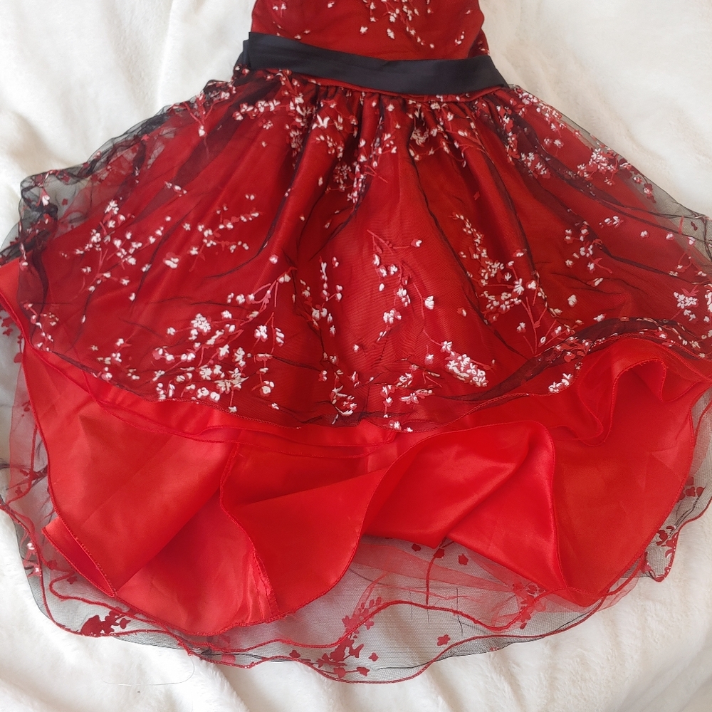 Red and Black dress size 12